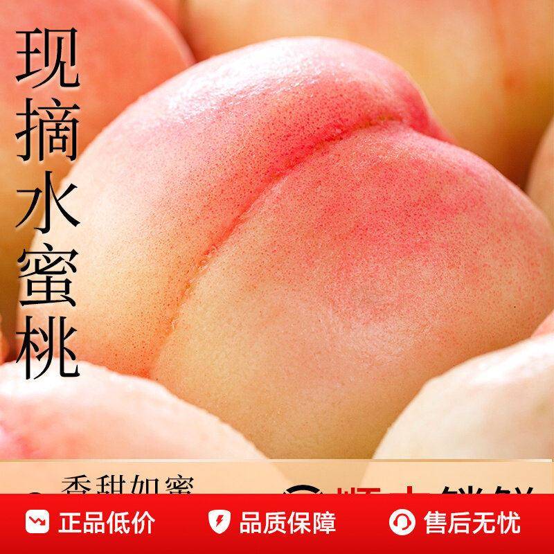 正宗上海南汇的水蜜桃当