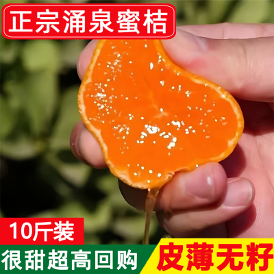 正宗临海涌泉蜜桔10斤整箱浙江台州无核蜜橘子官方旗舰店东海爆橘