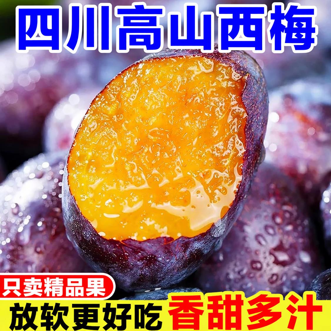 四川高山西梅新鲜当季孕