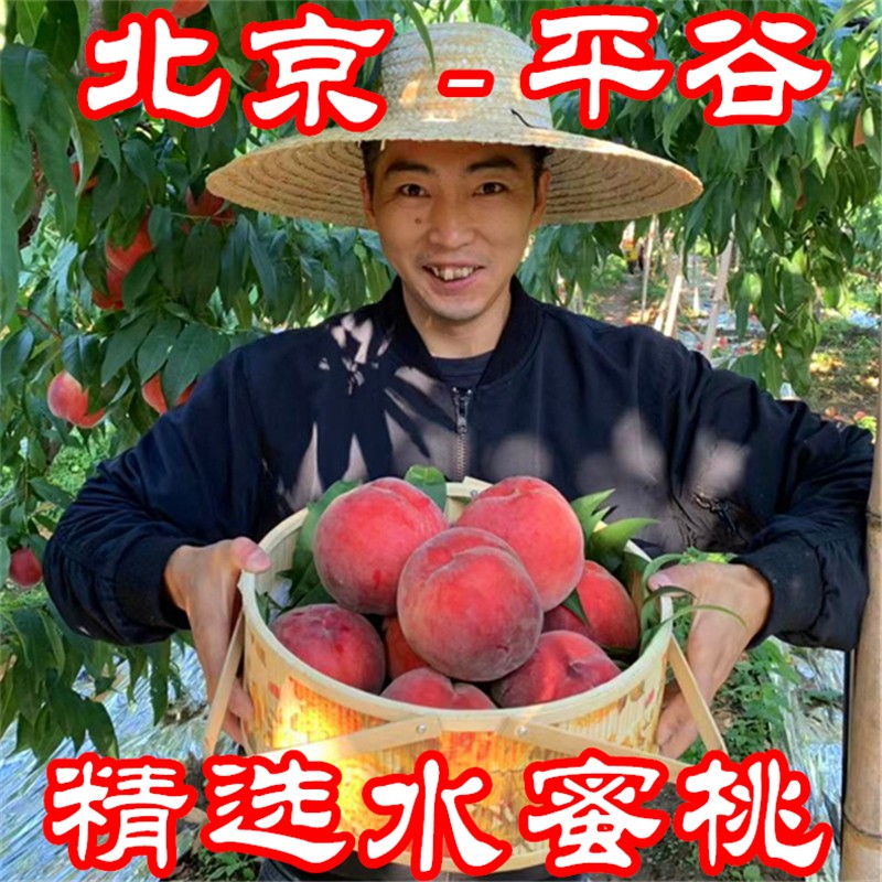 正宗北京水蜜桃子平谷大