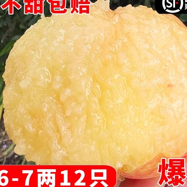 正宗甜水蜜桃新鲜大团蜜