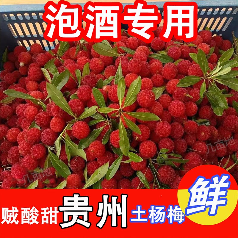 贵州新鲜杨梅新鲜杨梅新鲜冰冻泡酒杨梅大果杨梅小果杨梅酸甜多汁