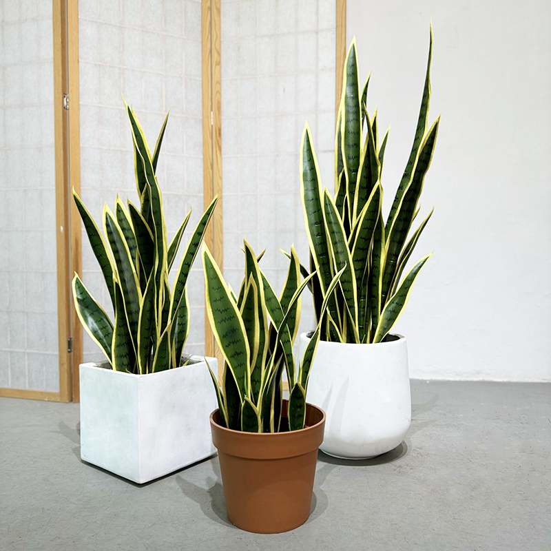 仿真花盆栽虎皮兰北欧仿真花盆景