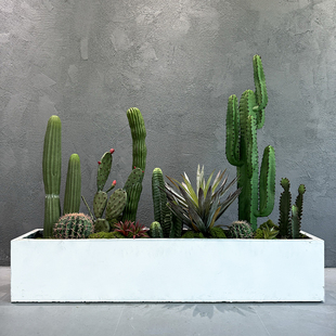 花箱假绿植仿真仙人掌造景组合假植物景观摆件楼梯下橱窗角落装饰