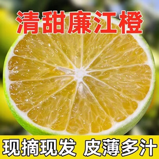 正宗廉江红江橙子湛江新鲜水果10斤大果当季红橙化州红心橙子5斤