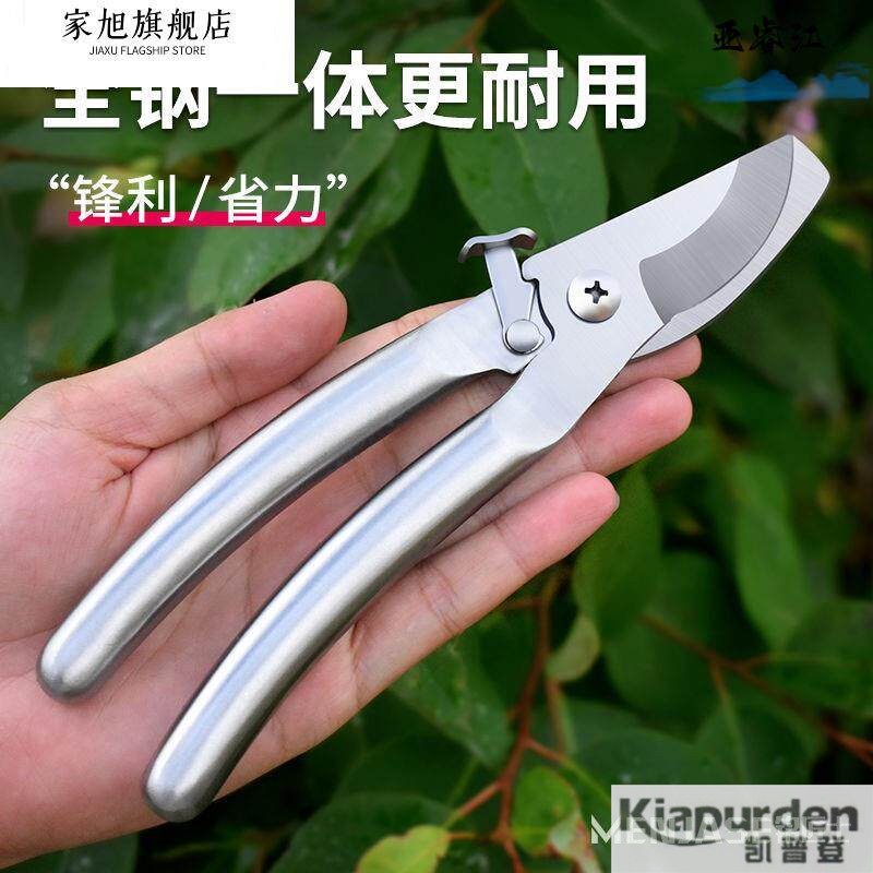 全不锈钢304全钢强力修枝剪修剪果树剪枝专用园林剪粗枝花艺剪刀图片
