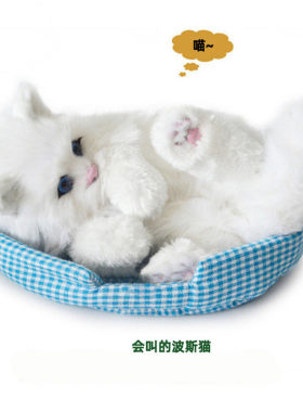 玩具猫猫仿真会叫模型摆件小猫咪毛绒公仔玩偶娃娃宠物可爱假动物