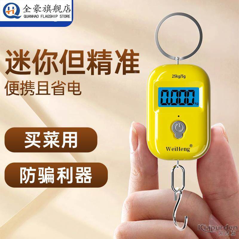 精准迷你手提电子秤高精度小型可携式吊秤弹簧秤家用钩称随身称克