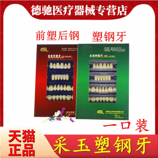塑钢牙 牙科材料 合成树脂牙 全口义齿 采玉 塑钢牙树脂牙 彩玉牙