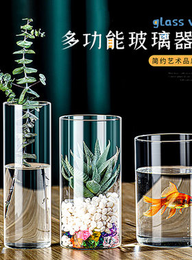 高硼硅直筒玻璃花瓶绿萝小鱼缸插花器水培景观花盆花瓶玻璃摆件