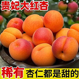 山西胭脂杏子贵妃红杏当季新鲜水果酸甜红梅杏肉杏一整箱批发