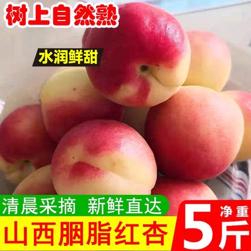 山西胭脂杏红杏新鲜树熟孕妇水果贵妃杏甜杏红梅非大黄杏子小白杏