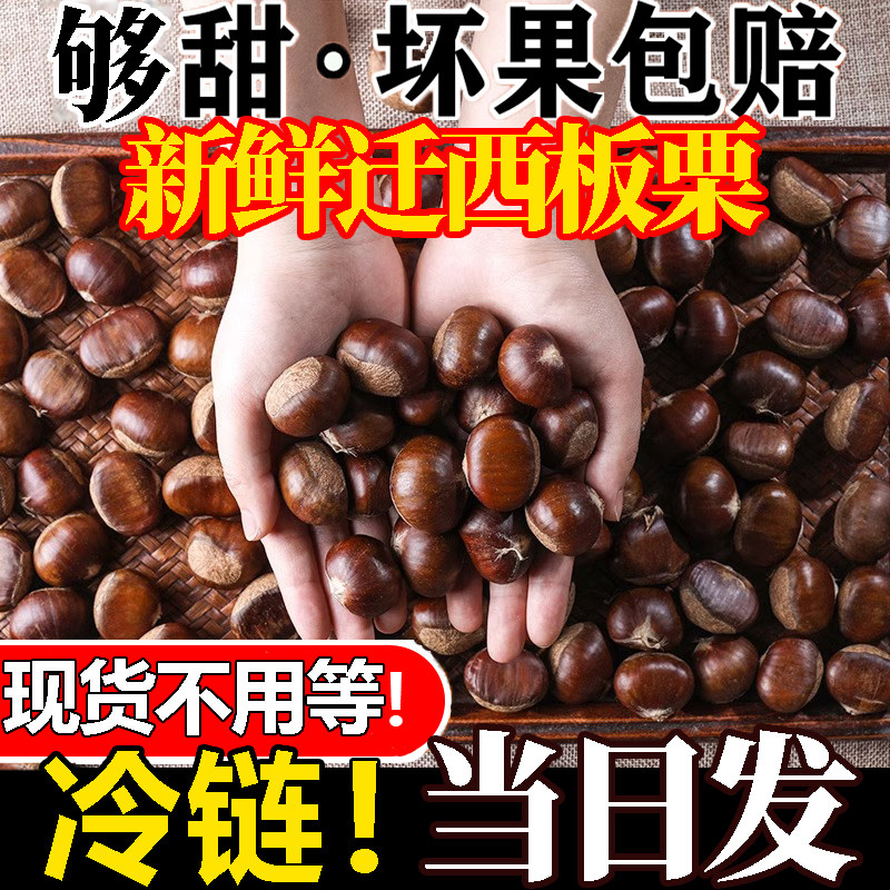 2026板栗生新鲜迁西生板栗正宗野燕山生板栗仁5毛栗子产地直发
