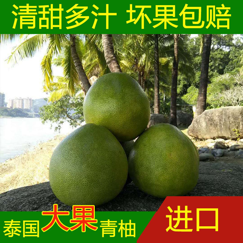 泰国青柚进口特大柚子新