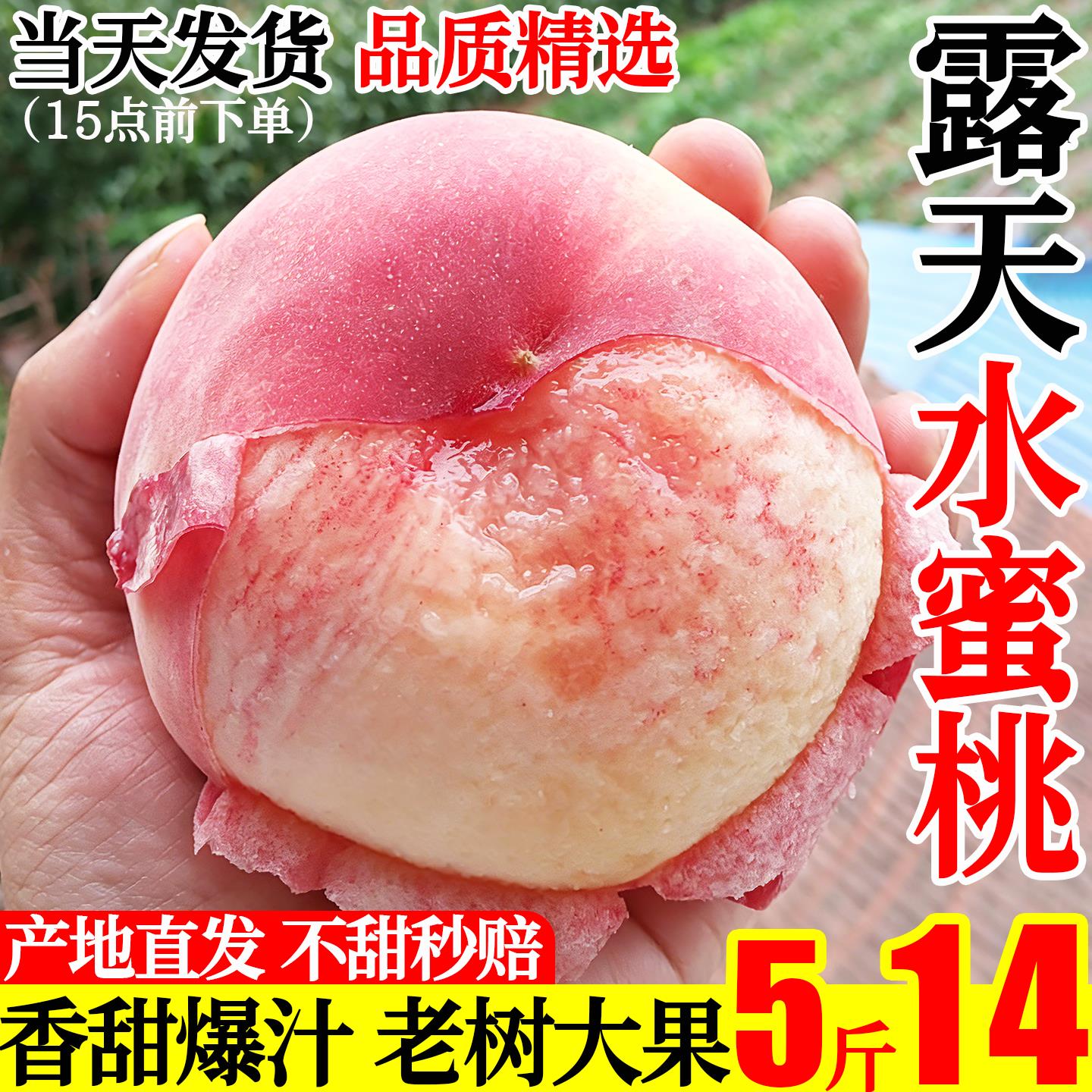 水蜜桃子水果新鲜应当季