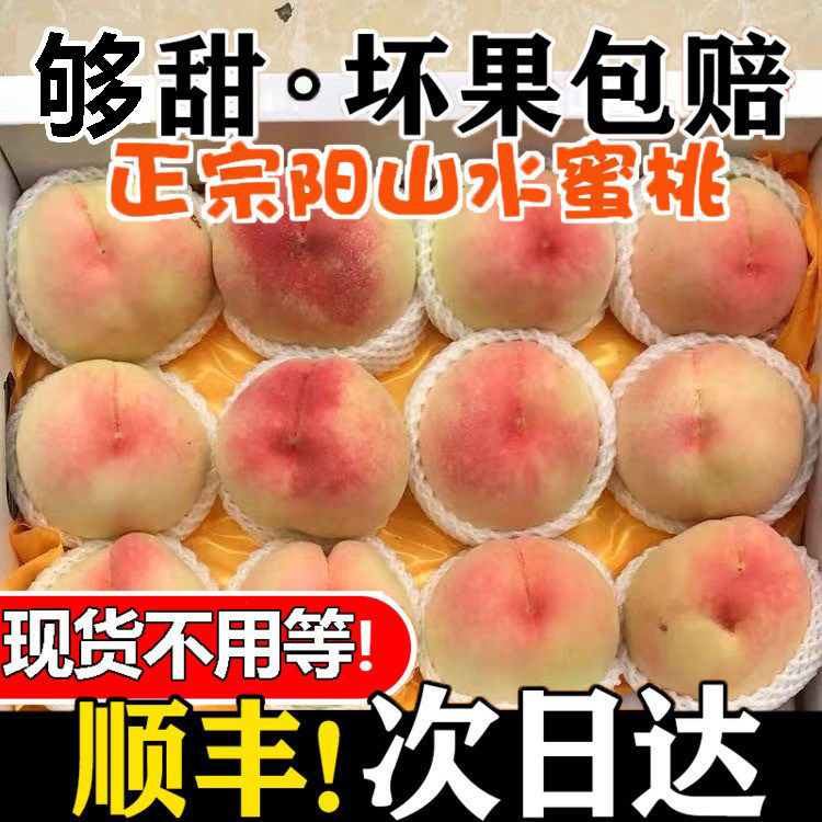 顺丰现摘正宗无锡阳山水蜜桃12个礼盒当季新鲜水果白凤软桃子孕妇