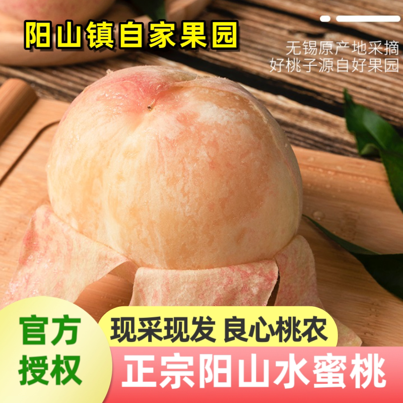 正宗阳山水蜜桃6祇812