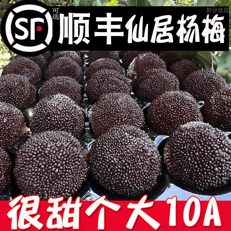 [10A大果]杨梅新鲜正宗仙居杨梅浙江大东魁杨梅孕妇水果现摘整箱
