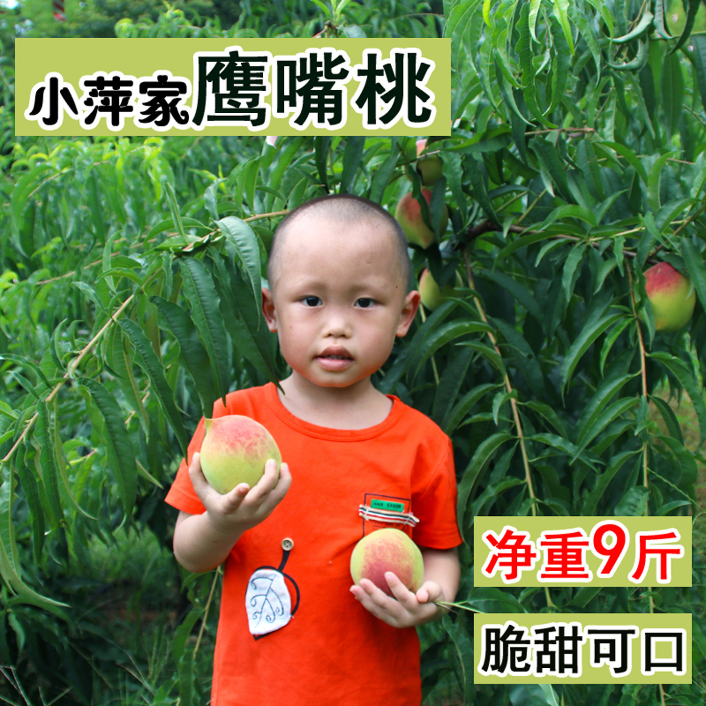 正宗鹰嘴桃特大果9斤整箱