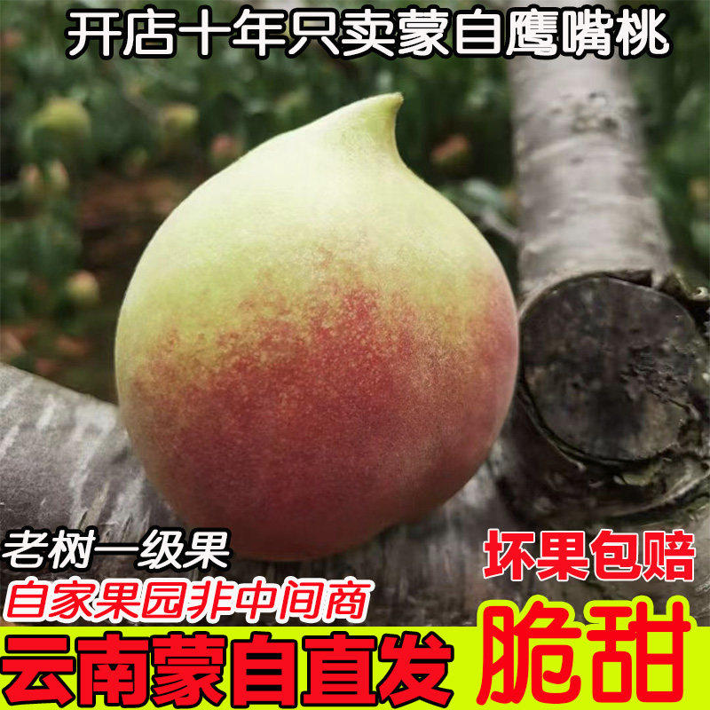 云南蒙自鹰嘴桃新鲜水果5