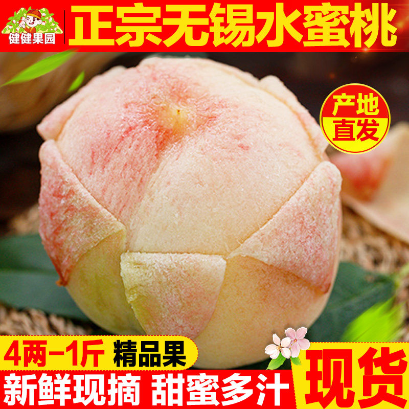 正宗无锡阳水蜜桃子新鲜