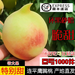 正宗广东河源连平上坪鹰