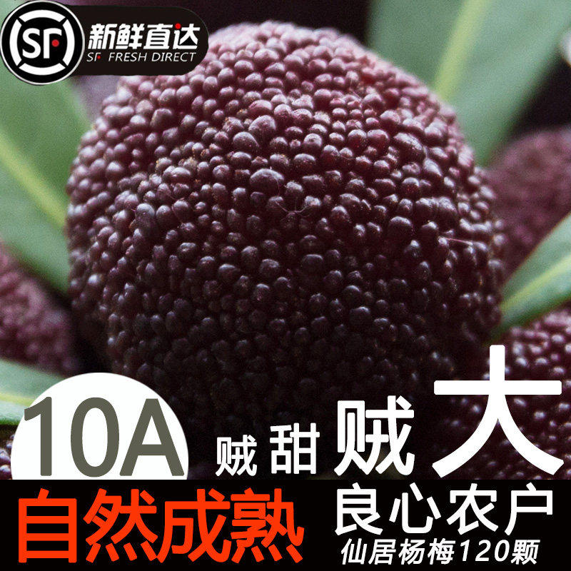 10A大果杨梅鲜果仙居东魁杨梅正宗浙江新鲜120颗礼盒孕妇水果现摘