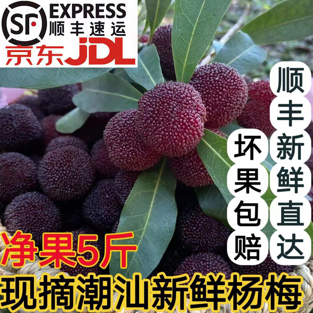 潮汕新鲜杨梅现摘金灶水果孕妇非仙居东魁杨梅荸荠黑乌梅大杨梅