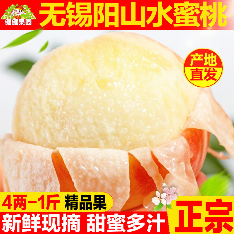正宗无锡阳山水蜜桃子当