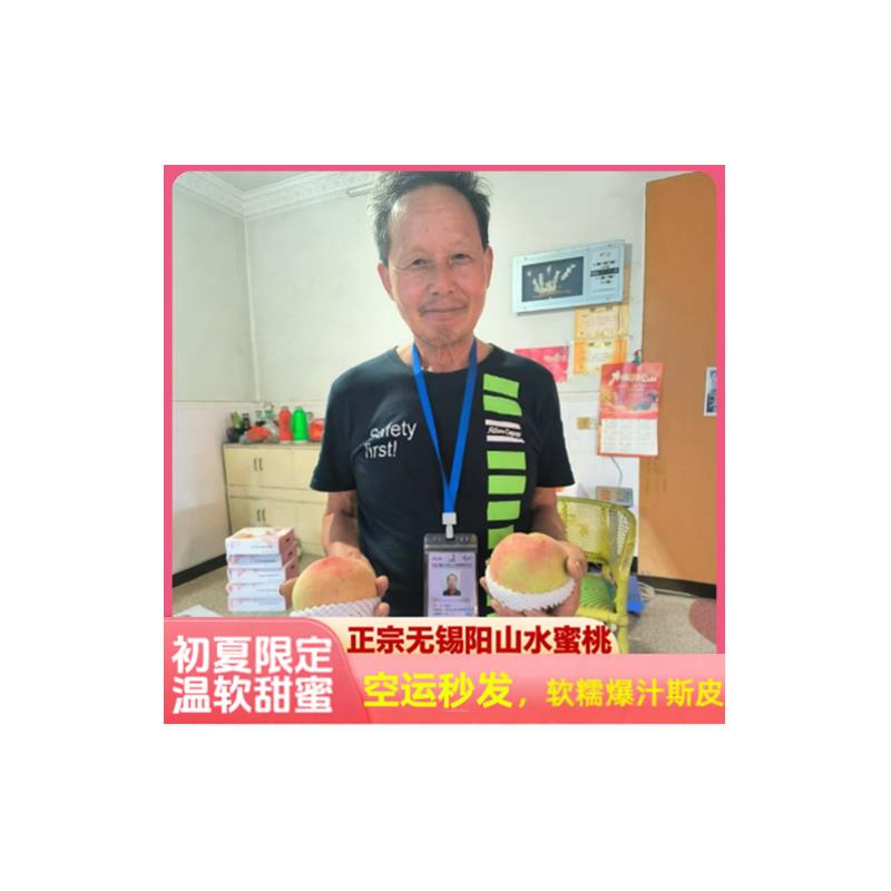 正宗无锡阳山水蜜桃6两8