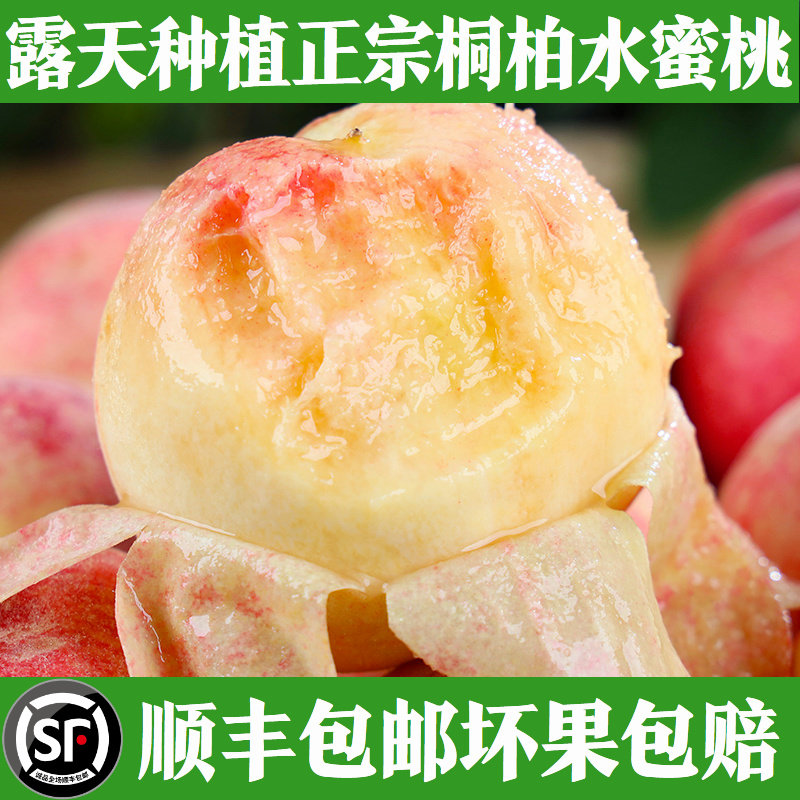 顺丰包邮桐柏水蜜桃非阳