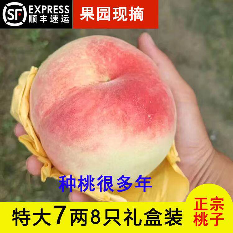 正宗无锡阳山水蜜桃新鲜