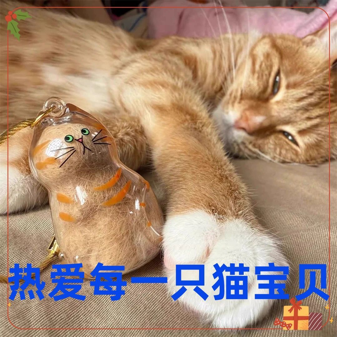 猫毛纪念品宠物毛发纪念猫咪扭蛋猫咪毛发纪念透明狗毛猫毛收集吸