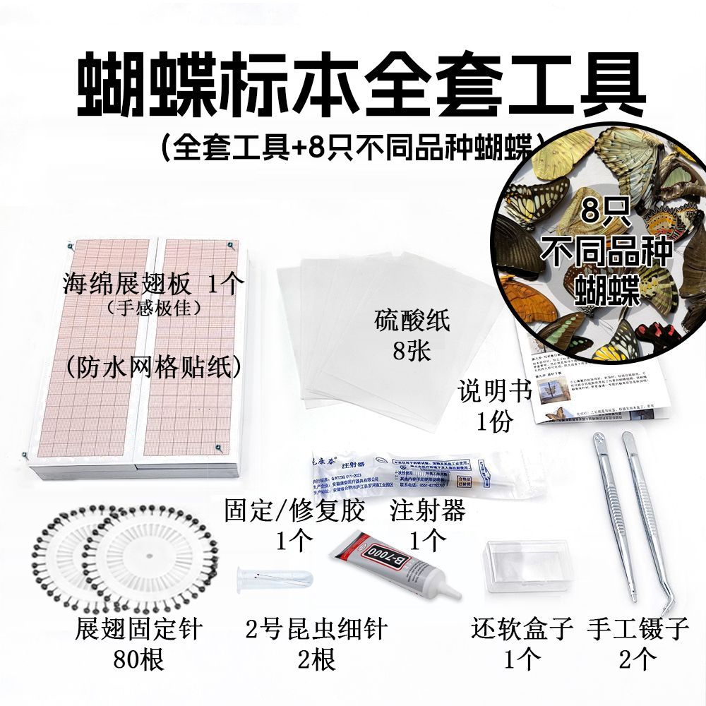 甲虫标本制作工具蝴蝶标本制作材料套装坐标贴展翅板昆虫针工具套