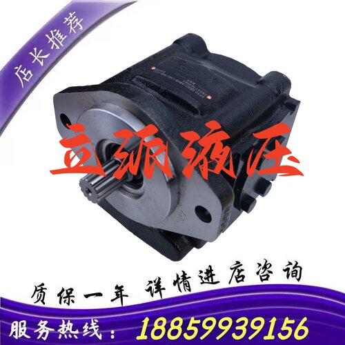CASAPPA铸铁齿轮泵KP30.22D0-A8K9-LMC/MB-N-HSC 工程机械铸铁泵