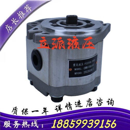 液压CBW-F306-ALBB.ALP电瓶叉车齿轮油泵CBWH液泵