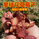 攀枝花草莓干片原味無添加糖新鮮酸甜孕婦即食水果干泡茶非蜜餞脯