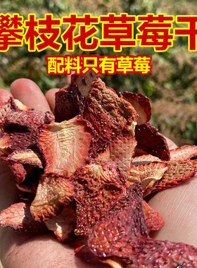 攀枝花草莓干片原味未添加蔗糖新鲜酸甜烘干即食水果干泡茶非蜜饯