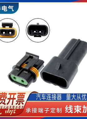 DJ70232Y-6.3-11/21 电子风扇插头 2孔线束接插件 12034269