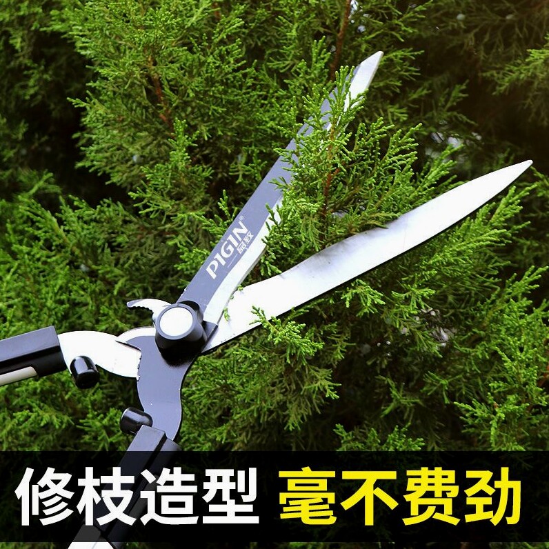 德国进口园艺大剪刀园林花剪花木修枝剪修剪草坪绿篱剪强力修剪树图片