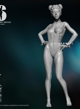 75mm YUFAN原创 性感特工队12丽丽 树脂兵人 YFWW-2061