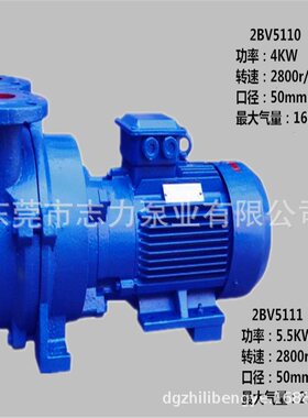 东莞惠州深圳7.5KW真空泵 2BV-5121水环式真空泵鞋材雕刻机专用泵