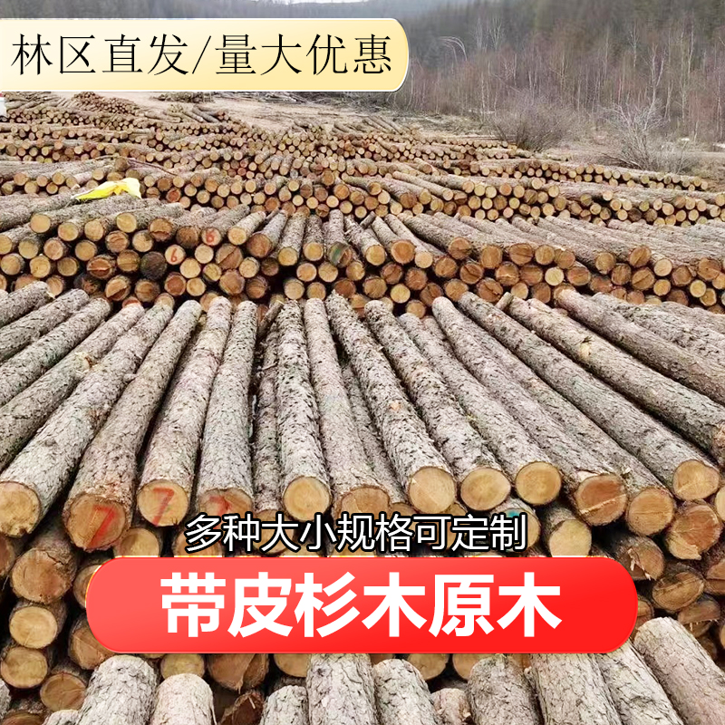 打桩木杉木桩圆木木材营地造景