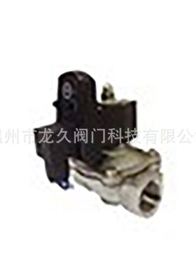 DSF型定时电磁阀 内螺纹不锈钢阀电磁阀 ZCK排气电磁阀