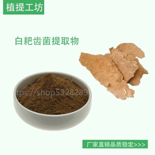 白耙齿菌提取物 耙齿菌浓缩粉 另售桑黄 白耙齿菌多糖50%满79包邮