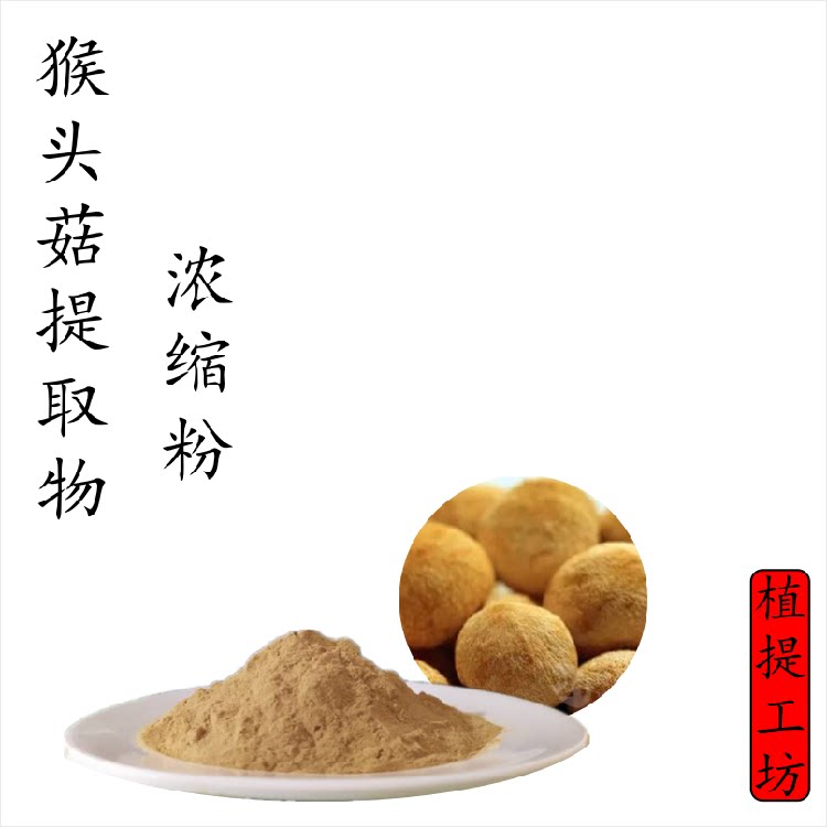猴头菇提取物 猴头菌浓缩粉另售