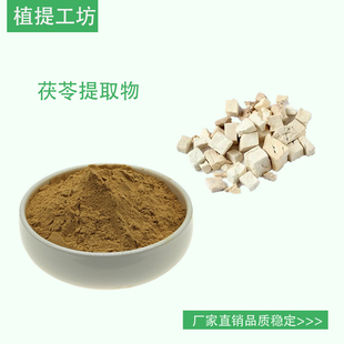 茯苓提取物 茯苓浓缩粉另售泽泻猪苓黄芪酸枣仁 100g散装新货
