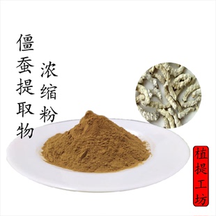 白僵蚕提取物 僵蚕浓缩粉 另售白芷藁本黄连牛蒡子 满79包邮 新货
