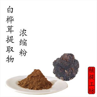 白桦茸提取物 桦褐孔菌浓缩粉 另售灰树花桑黄白耙齿菌 满79包邮