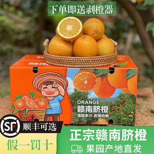 江西正宗赣南脐橙当季新鲜水果赣州寻乌橙子10斤现摘现发礼盒装